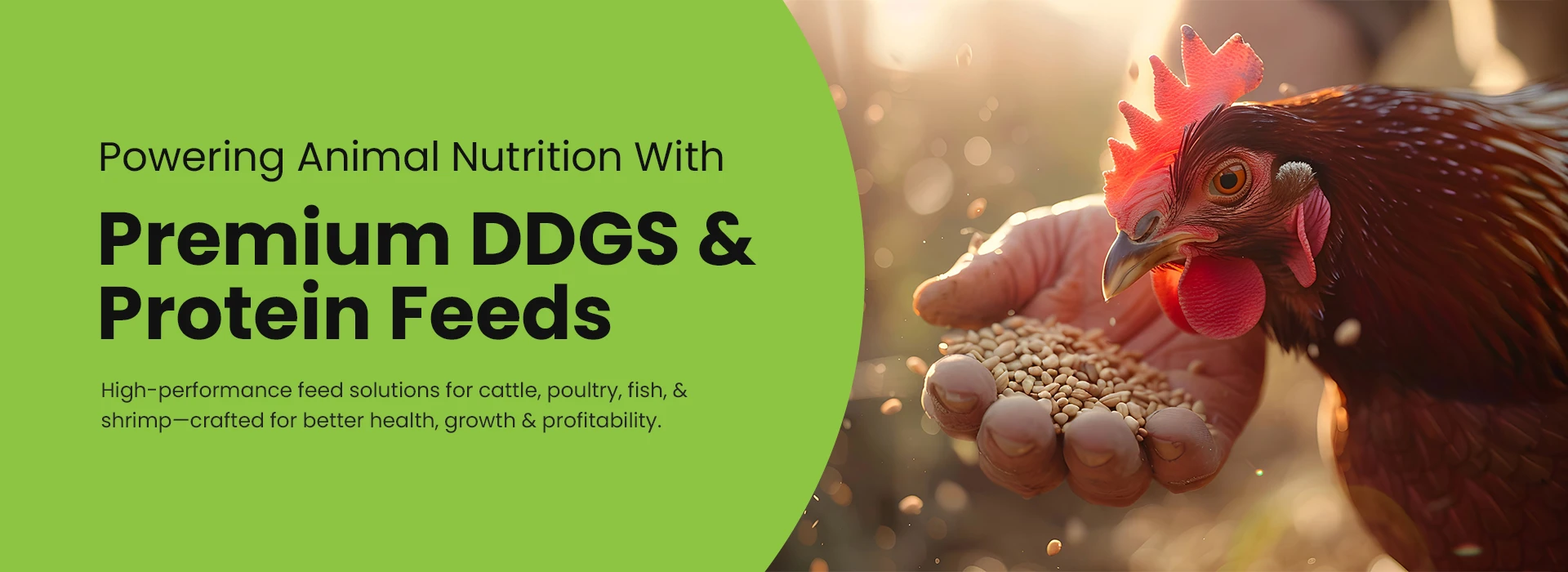 cattle feed supplements manufacturing