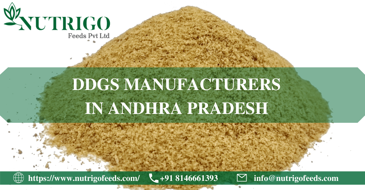 DDGS manufacturers in Andhra Pradesh