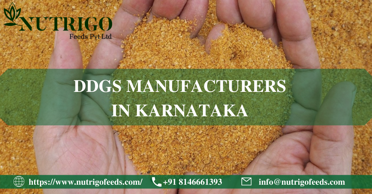 DDGS manufacturers in Karnataka