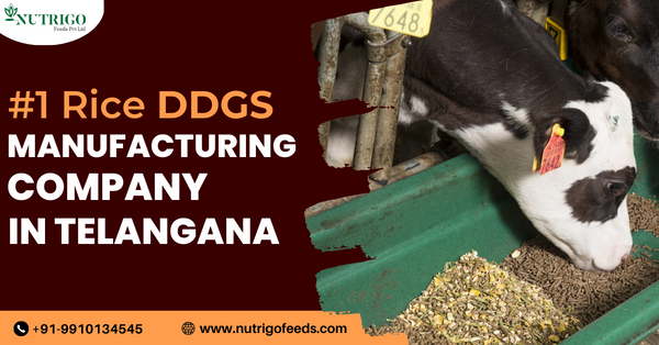 DDGS manufacturers in Telangana