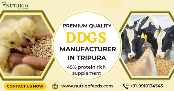 DDGS Manufacturers in Tripura