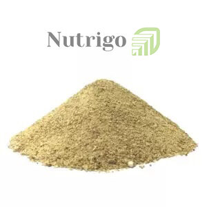 rice-gluten-300x300