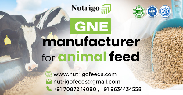 Best GNE Manufacturer for Animal Feed