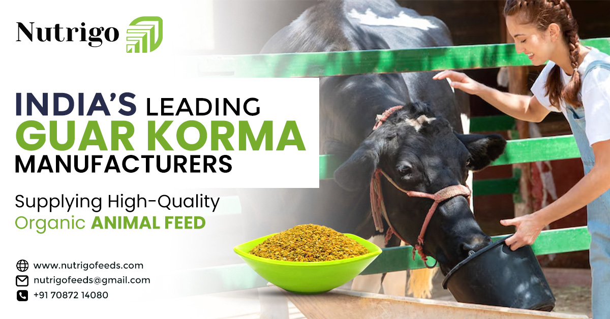 Leading Guar korma manufacturers in India: supplying high-quality organic animal feed