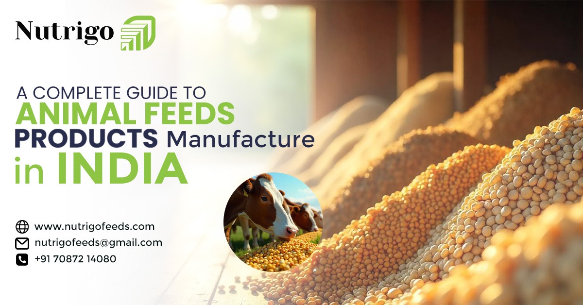 A complete guide to choosing the best animal feed products manufacturer in India