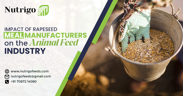 The Impact of Rapeseed Meal Manufacturers on the Animal Feed Industry