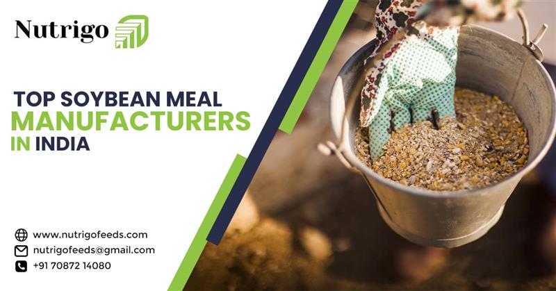 Top Soybean Meal Manufacturers In India | Suppliers Of Quality Protein Feed For 2025-2026