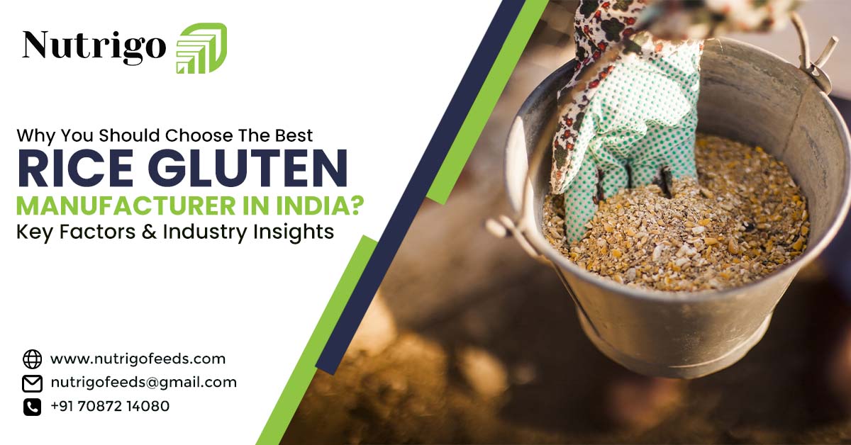 Why you should choose the Best Rice Gluten Manufacturer in India?: Key Factors & Industry Insights