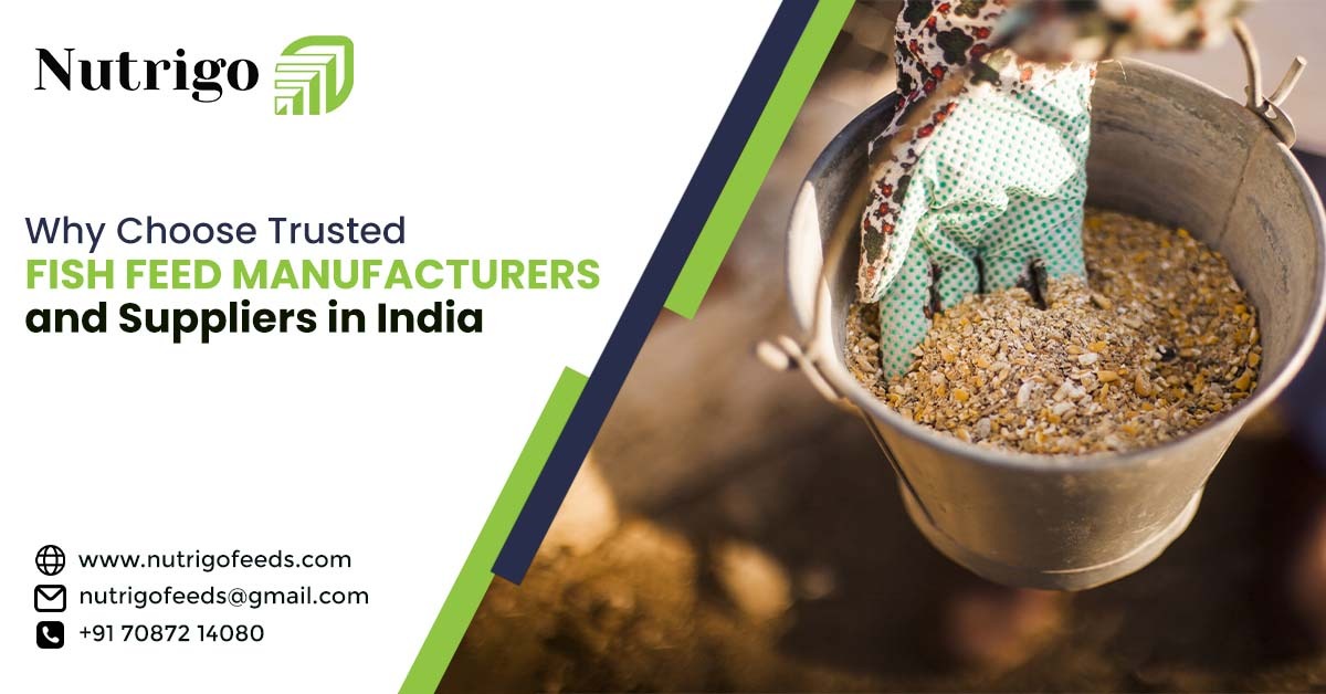 Fish Feed Manufacturers and Suppliers in India