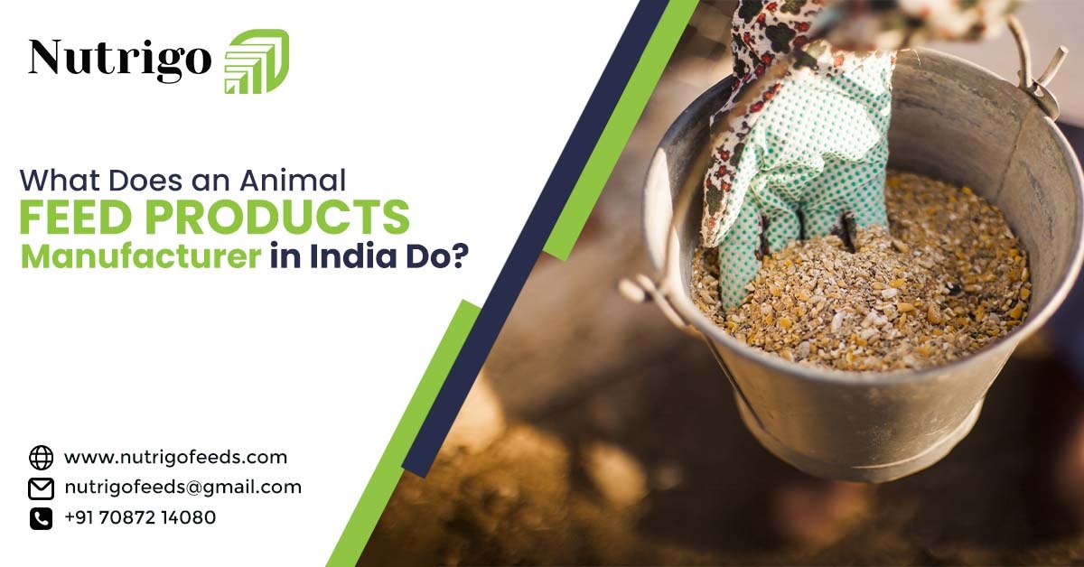 Animal Feed Products Manufacturer in India