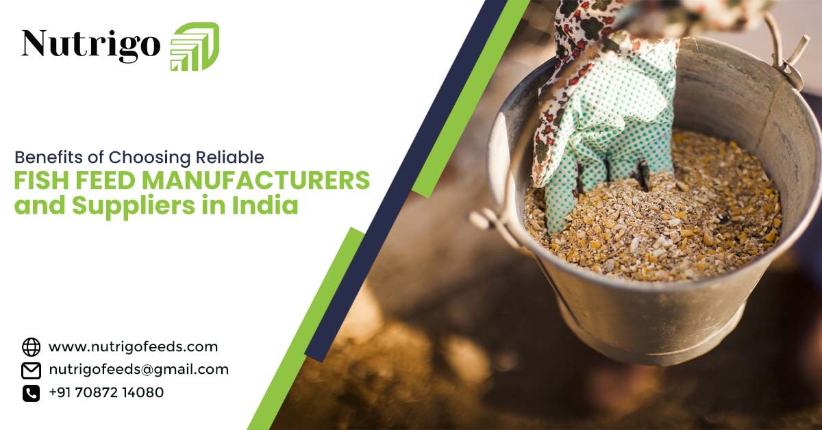 Fish Feed Manufacturers and Suppliers in India