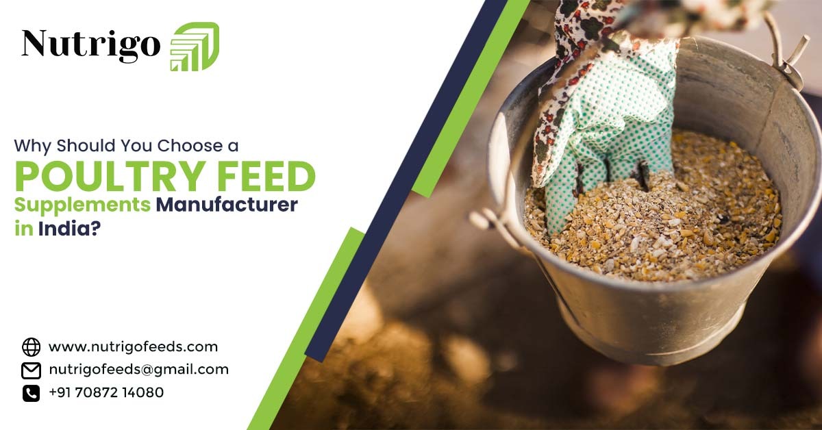 Poultry Feed Supplements Manufacturer in India