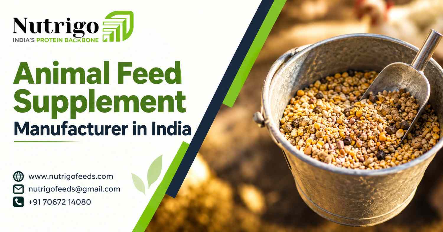 Animal Feed Supplement Manufacturer in India